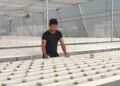 Hydroponic agriculture farming –opportunities in urban agriculture