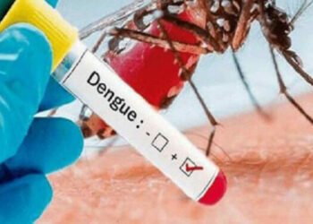 Govt should control dengue: UML
