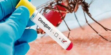 Govt should control dengue: UML