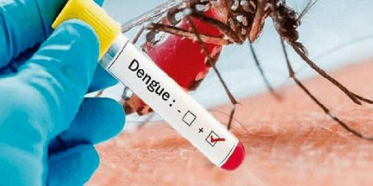 Govt should control dengue: UML