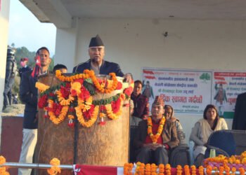 PM Deuba says coalition formed to protect constitution