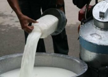 Farmers demand increase in milk price