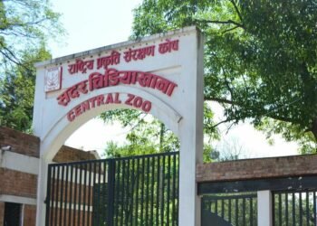 Number of rescued animals decreases in central zoo