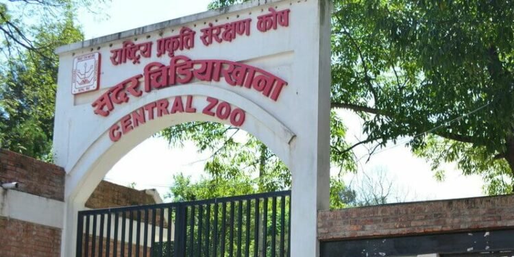 Number of rescued animals decreases in central zoo