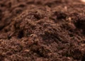 Soil: source of our life
