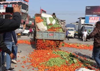 Dissenting farmers throw agro produce in the road