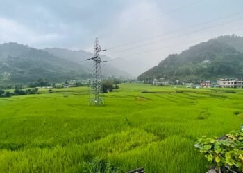 Paddy farmers happy with increased price