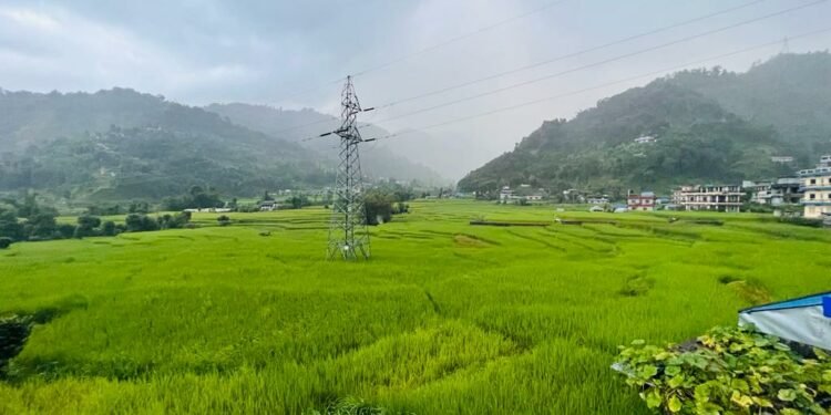 Paddy farmers happy with increased price