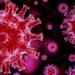 Corona infection rises all of sudden in Nepal, 69 infections recorded in a day