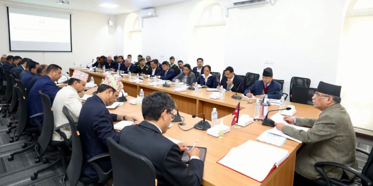 Comprehensive review of BFIs will be held: Prime Minister