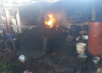 Chinese Ambassador calls on President Paudel