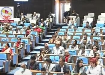 Lawmakers call government to address problems of loan sharking victims