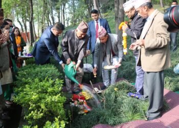 President Paudel plants saplings in Bankali