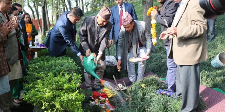 President Paudel plants saplings in Bankali
