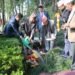 President Paudel plants saplings in Bankali