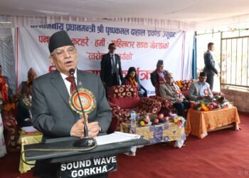 Govt. to get full-shape soon: PM Dahal
