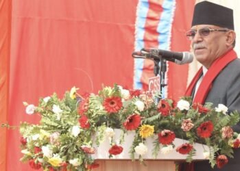 Political stability would be established in country henceforth: PM Dahal