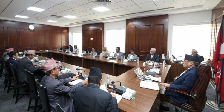 Govt forms three-member high-level commission to address issues of loan sharking victims