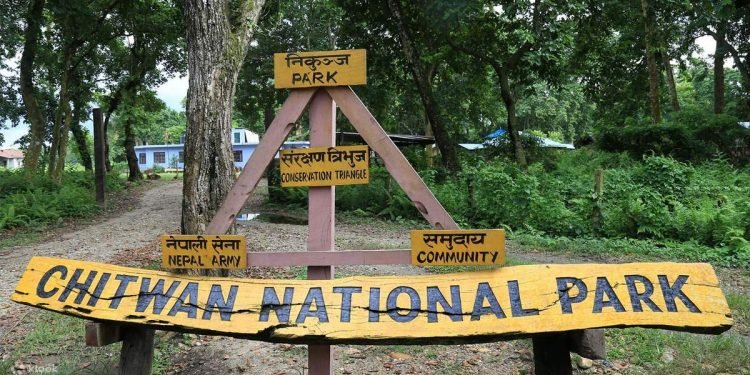 Nine people killed in nine months due to wild animal attacks