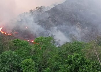 Fire destroys 70 hectares of forest area in Myagdi