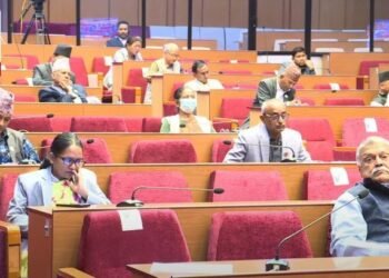 Proposal of public importance about economic improvement presented in NA