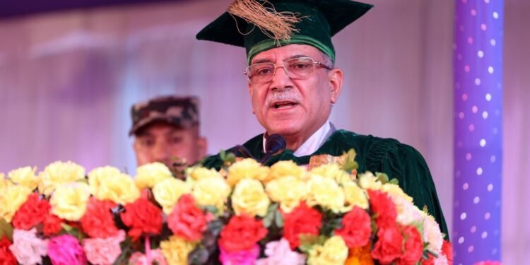 Universities need to create environment for people-friendly service: PM Dahal