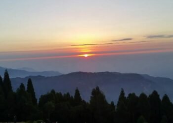 New Year 2080 being celebrated today