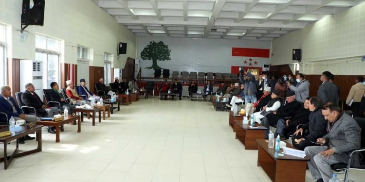 NC decides to give full shapes to its party departments and sister organizations