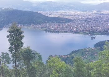 Wetlands near Phewa Lake being encroached