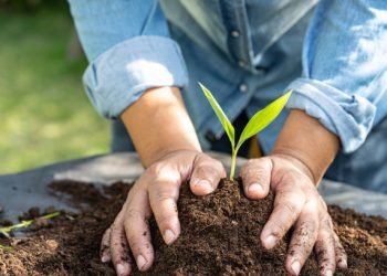 Children gather to formulate a plan for their municipality