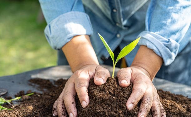 Children gather to formulate a plan for their municipality