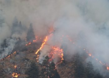 Property worth 3.2 million rupees gutted in fire