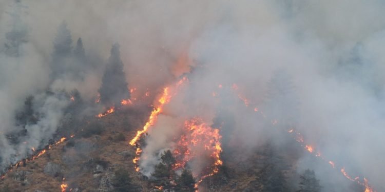 Property worth 3.2 million rupees gutted in fire