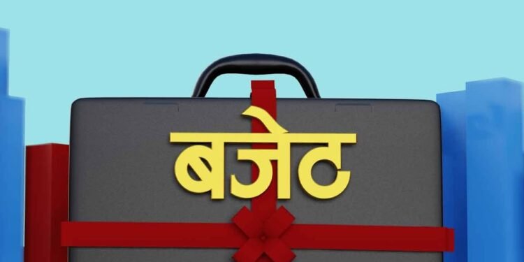 Only 446 local levels make public their budgets