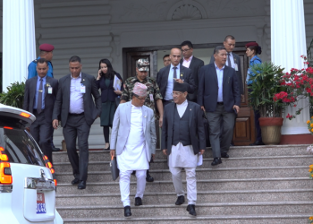 Investigation Committee formed to probe helicopter crash