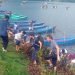 Water hyacinth removed from Phewa Lake