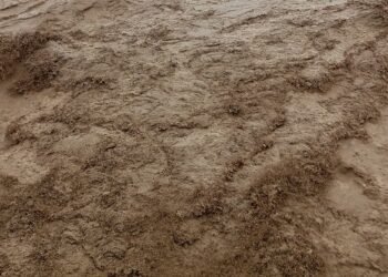 Heavy rain lashes Lumbini province: Authorities call for alert and precaution