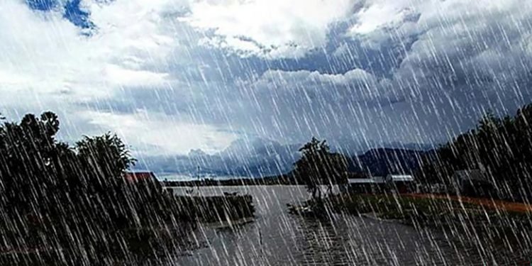Water level in Koshi and Tinau rivers at danger level