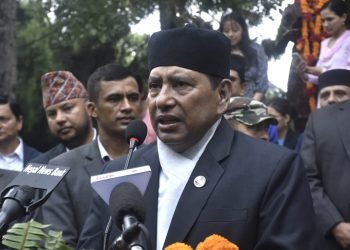 Bhanubhakta has made special contribution to promotion of cultural unity: DPM Shrestha