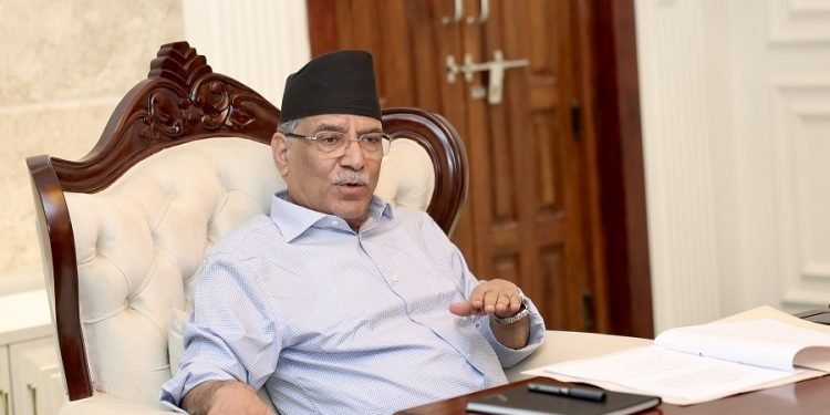 PM says govt preparing to provide relief package for farmers losing their cattle to lumpy skin