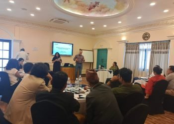 USAID Nepal organises workshop on PPM