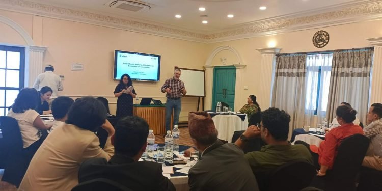 USAID Nepal organises workshop on PPM