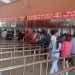 Booking of bus tickets for Dashain from Monday