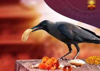 Tihar begins with worship of crow