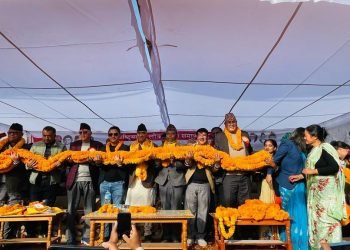 Ncell stakes sold in collusion with politician, businesspersons: NC leader Koirala