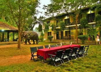 17th Chitwan Elephant and Tourism Festival from Dec 26