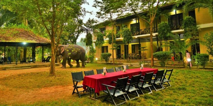 17th Chitwan Elephant and Tourism Festival from Dec 26