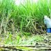Sugarcane farmers disown govt decision on support price