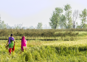 National Harawa-Charawa Rights Forum convention to begin on February 24