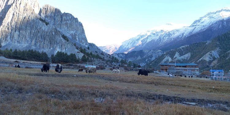 Manang locals worry over fading glacial lake